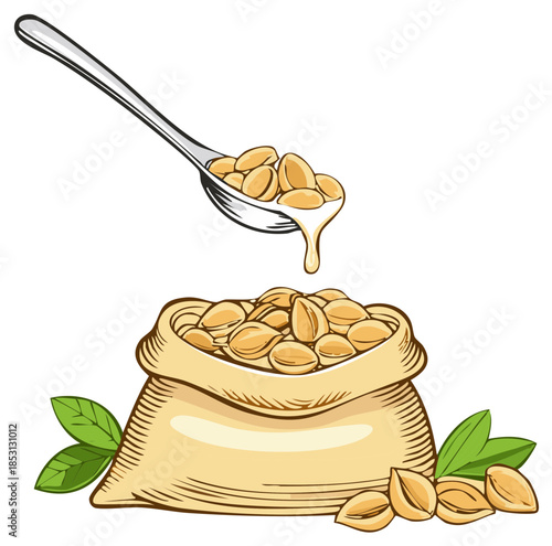 Illustration of a spoon with peanuts and bag with green leaves.