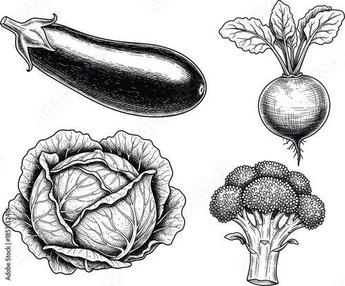 Vintage Hand Drawn Vegetable Vector Set Featuring Detailed Engraving Style Eggplant Radish Cabbage and Broccoli for Organic Farm Market Branding