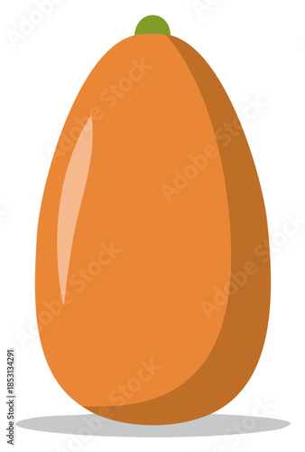 Stylized vector illustration of a whole ripe orange papaya fruit with a green stem