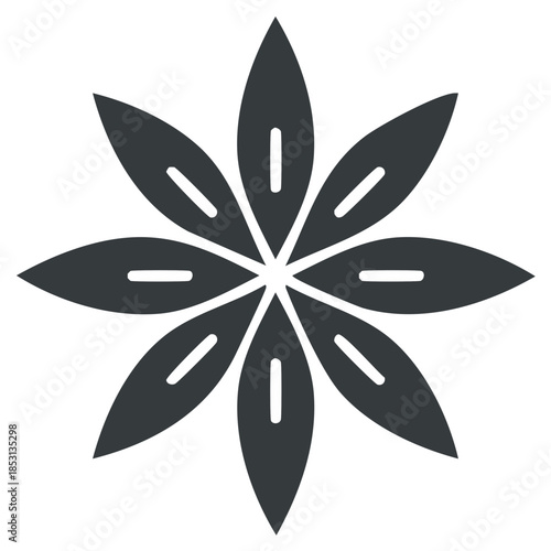 Anise Star Spice Icon