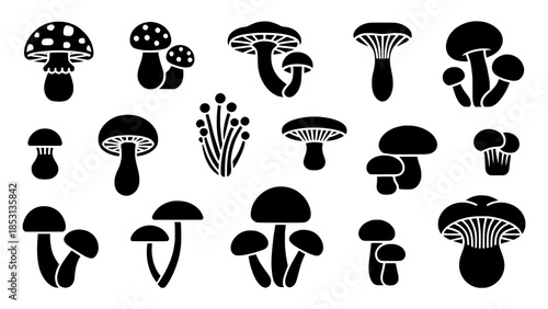 Set of black mushroom silhouette icons – vector glyphs featuring diverse fungi shapes