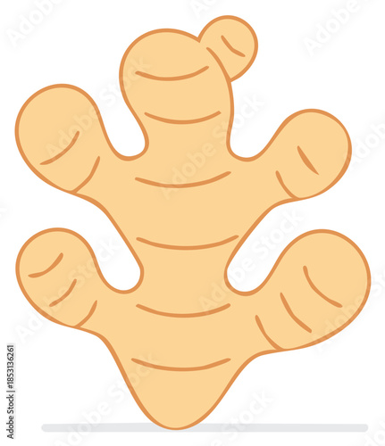 Stylized flat illustration of a ginger root with segmented limbs