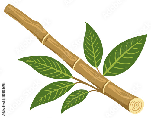Cartoon illustration of a bamboo stick with green leaves