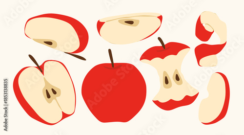 Red Apple set. Whole, half, sliced, bitten fruit. Hand drawn Vector illustration. Isolated design elements. Tasty food, healthy product concept. Sticker, print, logo, icon templates