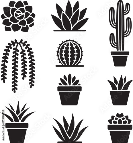 Succulent plant, cactus pot, desert flora, indoor garden, hanging planter, prickly pear, nature botany, home decoration