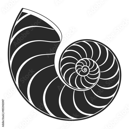 Vector illustration black and white illustration of a nautilus shell