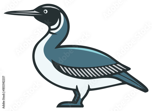 Graceful common loon or great northern diver bird standing in profile vector illustration
