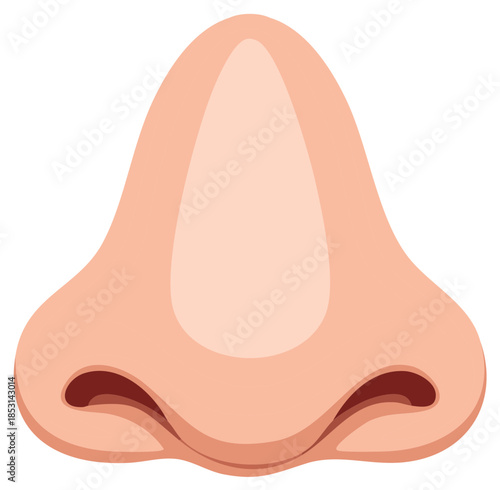 Illustration of a Human Nose, Anatomical Part of the Face, Cartoon Style