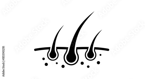Human Hair Follicle and Root Anatomy Icon Vector Illustration for Dermatology and Care
