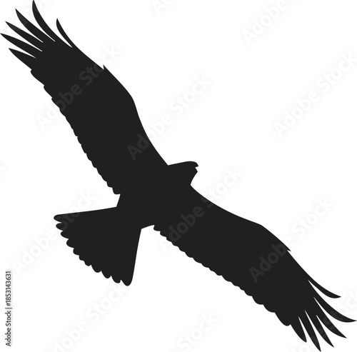 Black Eagle Silhouette in Aggressive Attack Pose