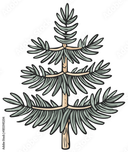 Hand drawn stylized evergreen pine tree vector illustration
