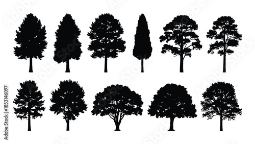 Collection of various tree shapes in a striking black silhouette