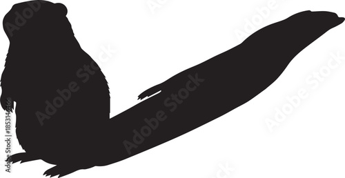 Silhouette of a playful otter swimming with its tail extended