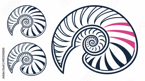 Vector illustration colorful nautilus shell illustration with pink accents