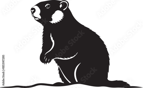 Black silhouette of a groundhog sitting upright on a white background