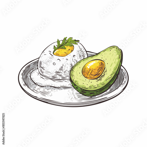 Hand-drawn engraving illustration of a poached egg served with a fresh avocado slice on a plate, featuring clean vintage lines, perfect for brunch menus, cafe branding, and food illustrations.