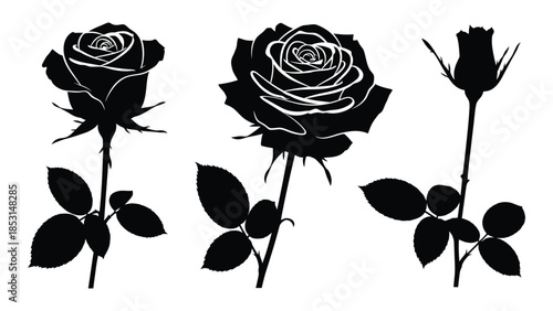 Elegant black rose floral arrangements a stunning botanical silhouette