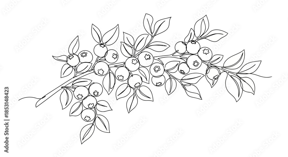 Fototapeta premium Elegant single continuous line art illustration of a blueberry branch, perfect for coloring Vector
