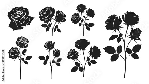 Elegant collection of black rose blossoms in a striking silhouette