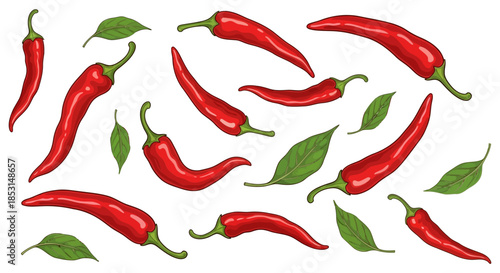 Spicy red chili peppers and fresh green leaves scattered on a white background illustration Vector