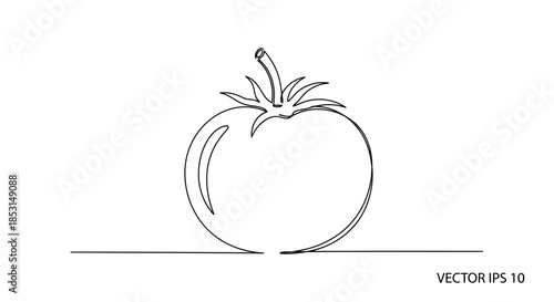 Continuous line drawing of a ripe tomato with stem and leaves on a white background Vector