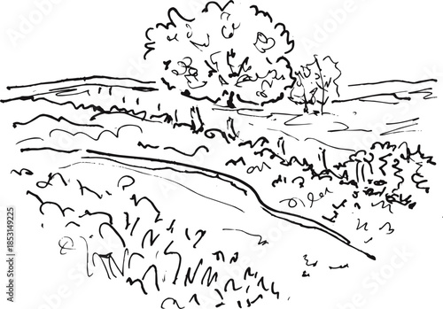 Rural Countryside Road with Fields and Trees Sketch