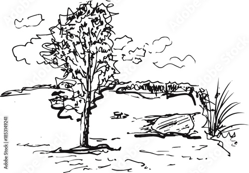 Single Tree in Grassy Field Nature Landscape Sketch