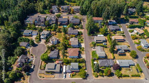Aerial view of rooftops and lush green trees sprawl across the suburban landscape, a tranquil scene of domesticity under the bright summer sun, Portland, Oregon, United States.