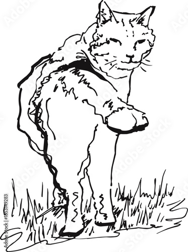Loose Line Sketch Cat Sitting Seen from Behind