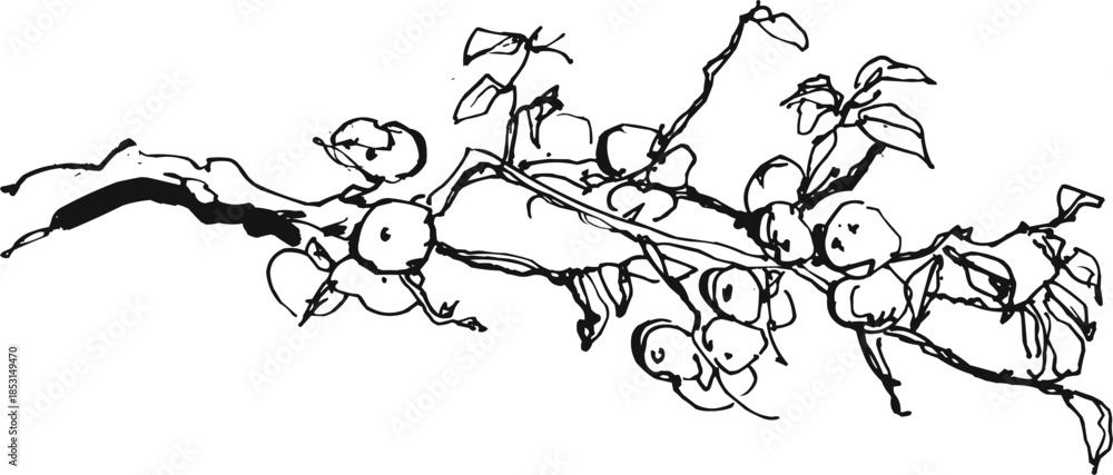 Fototapeta premium Elegant Minimalist Branch with Berries Nature Sketch Art