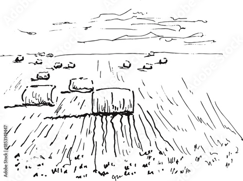 Countryside Landscape with Rolled Hay Bales on Field