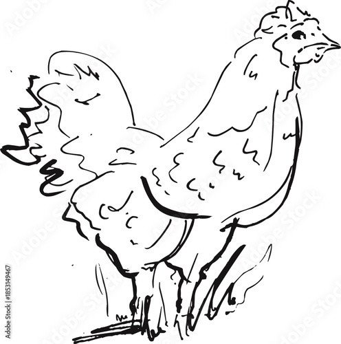 Simple Hand Drawn Farm Hen Bird Outline Sketch