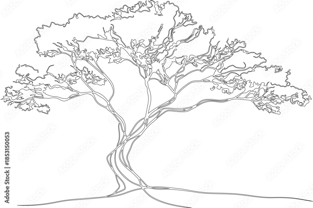 Fototapeta premium vector tree silhouette or sketch art or line art vector of tree made by hand drawn black and white lines. 