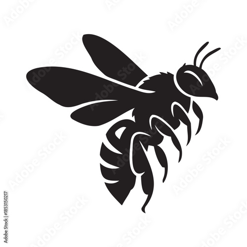 Dark gray bee silhouette on black background