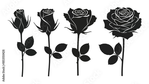 A collection of black rose silhouettes with varying bloom stages silhouette