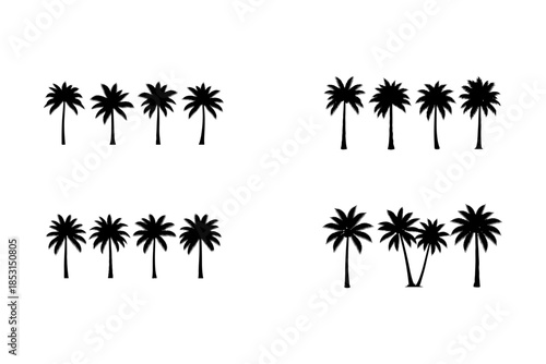 Black palm tree silhouette isolated on white background vector art