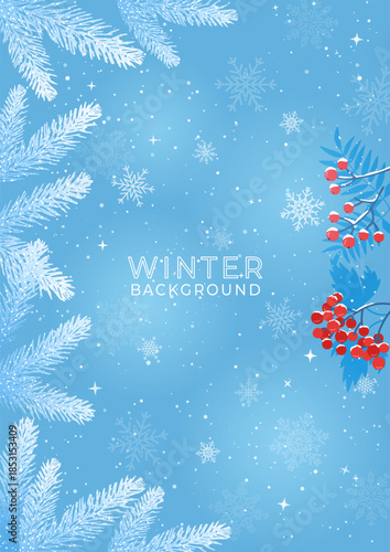 Winter background with fir tree branches and red berries. Wallpaper with falling snowflakes on a blue background. Vector illustration.