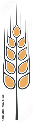 Stylized wheat stalk with golden kernels and sharp awns, vector illustration