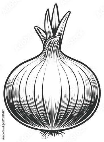Stylized black and white illustration of a single whole onion with green sprouts