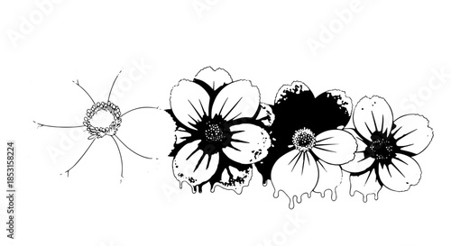 Monochrome Hibiscus Floral Sketch with Sunburst Line Art.