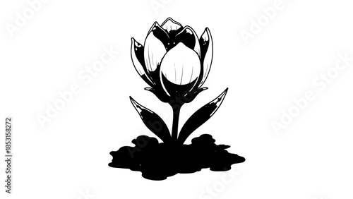 Silhouetted blooming flower emerging from dark soil in stark black contrast and simple form.