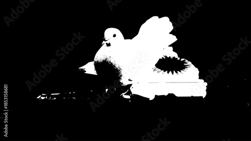 High-contrast silhouette of a lone white bird resting on dark water at dusk.