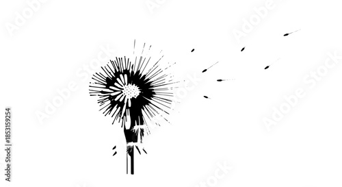 A solitary dandelion seedhead in the wind, a delicate bloom with fluffy seeds against a bright white background.
