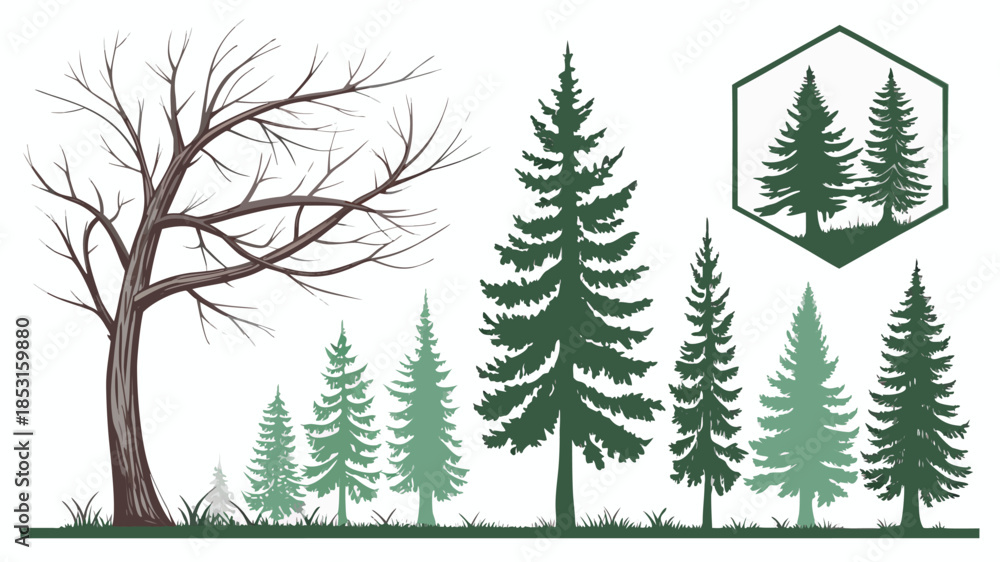 Obraz premium Vector illustration vector illustration of various green pine trees with different shades and sizes