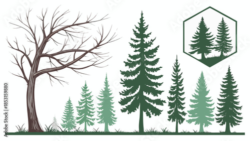 Vector illustration vector illustration of various green pine trees with different shades and sizes