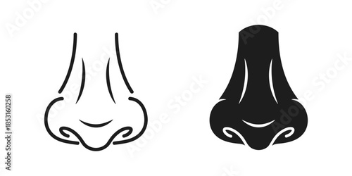 Nasal structure illustration