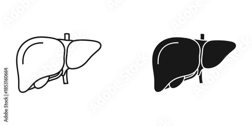 Comparison of liver anatomy illustrations