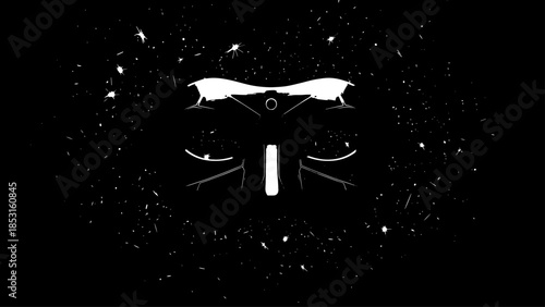 High contrast monochrome abstract mask with splatter texture.