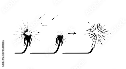Minimalist sequence of plant growth and seed dispersal in black silhouettes.