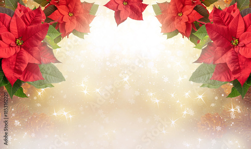 Christmas template background with poinsettia flowers for decoraton. New Year winter holidays fantasy concept with decorations and copy space, snowy shiny wide banner.